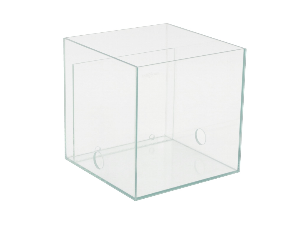 ANTCUBE - arena 20x20x20 - combi L